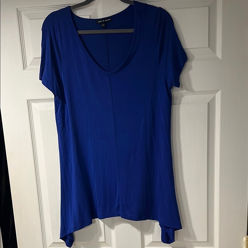 Women's Blue V-Neck Tunic